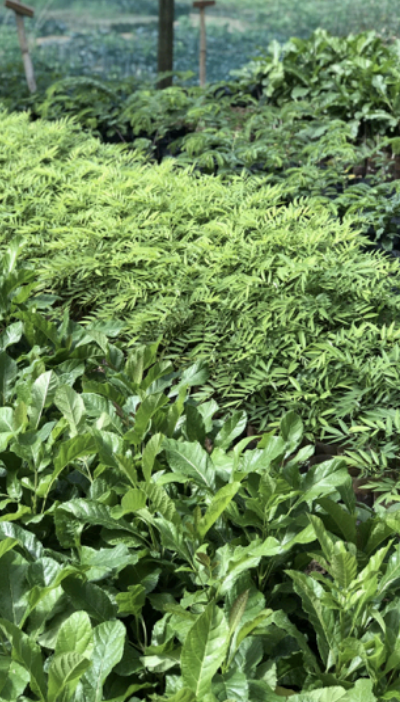 Screenshot 2023-09-27 at 11.18.22